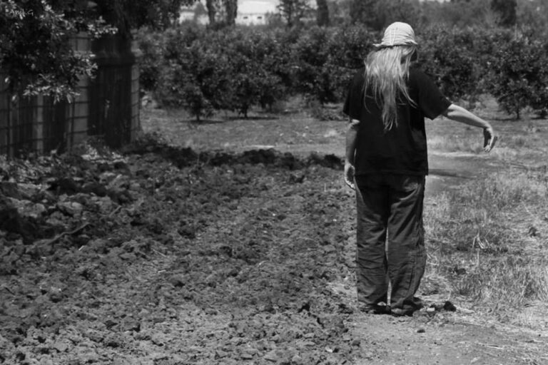 Read more about the article יום יבוא..