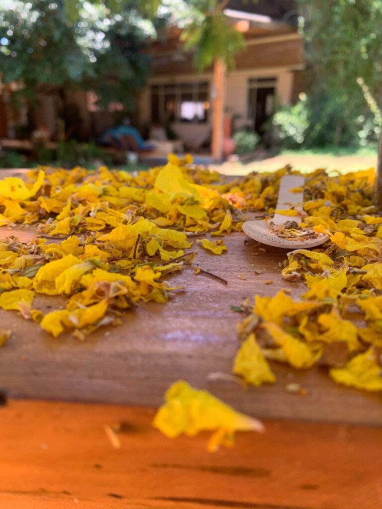 Read more about the article למרות הכל