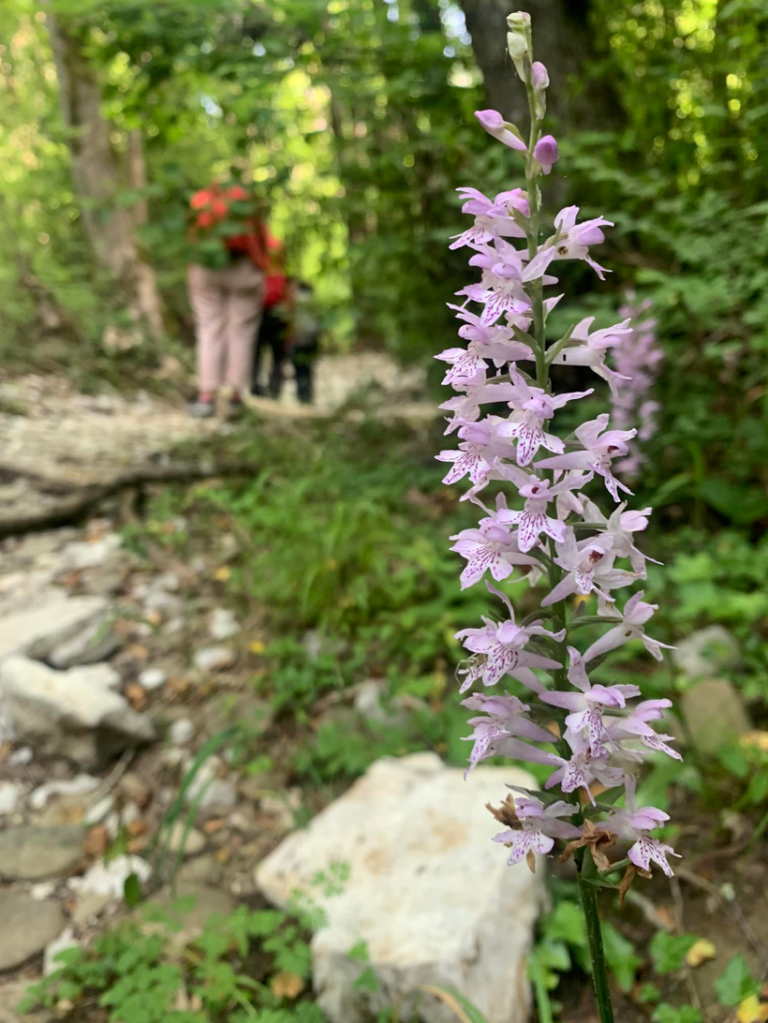 Read more about the article איך נושאים זיכרון